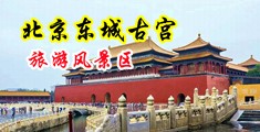深喉射精啊啊美女中国北京-东城古宫旅游风景区